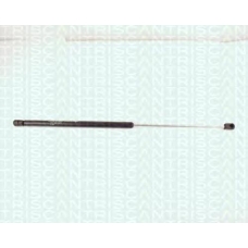 8710 1605 TRIDON Gas spring rear