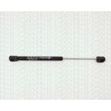 8710 1003 TRIDON Gas spring rear