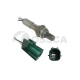 13037<br />OSSCA