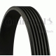 6PK1019 ELAST
