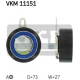 VKM 11151