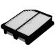 A141491<br />DENCKERMANN