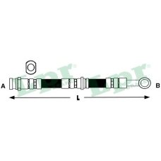 6T48019 LPR Тормозной шланг