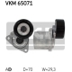 VKM 65071