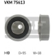 VKM 75613