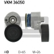 VKM 36050